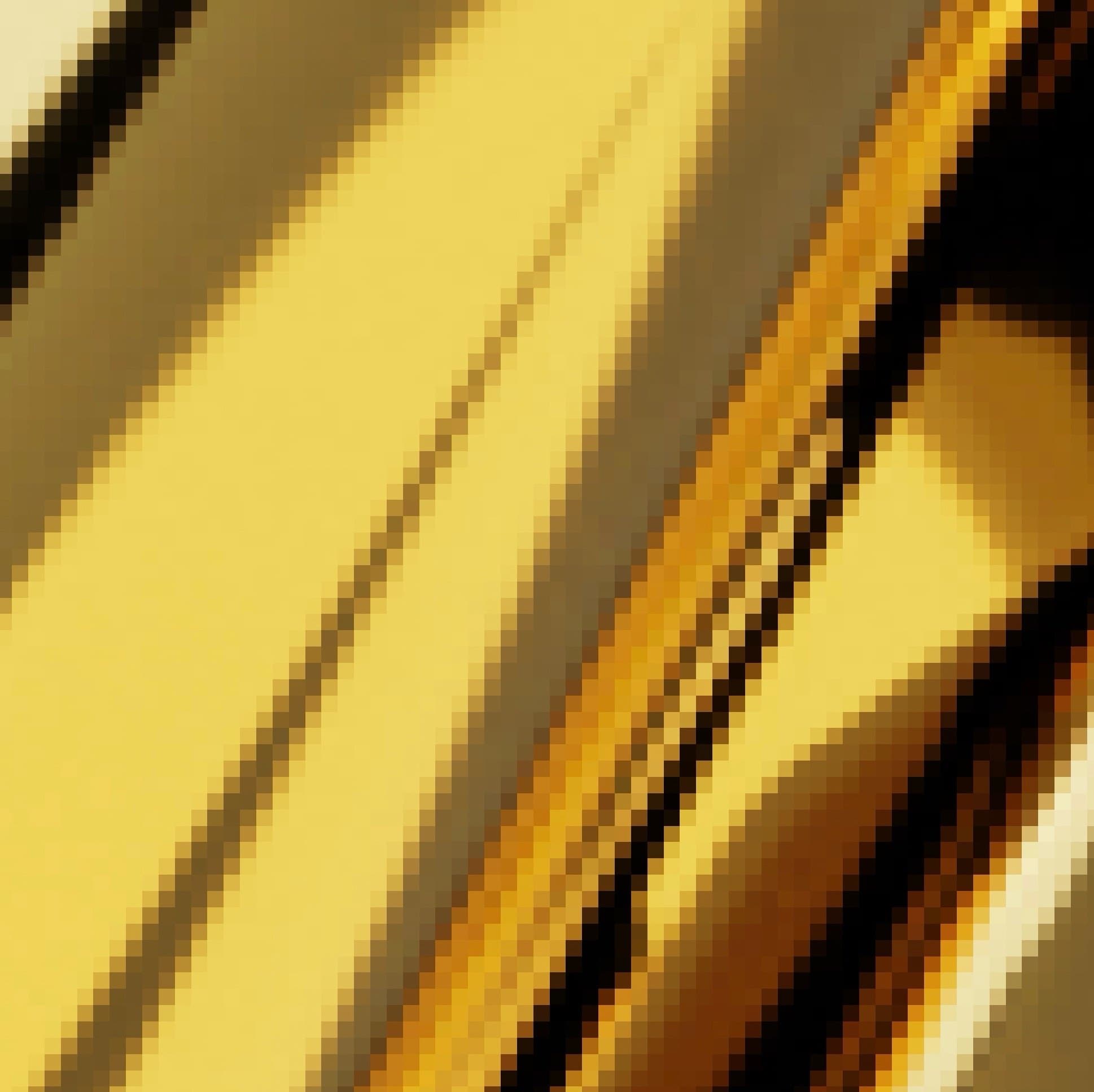 Dimes token image